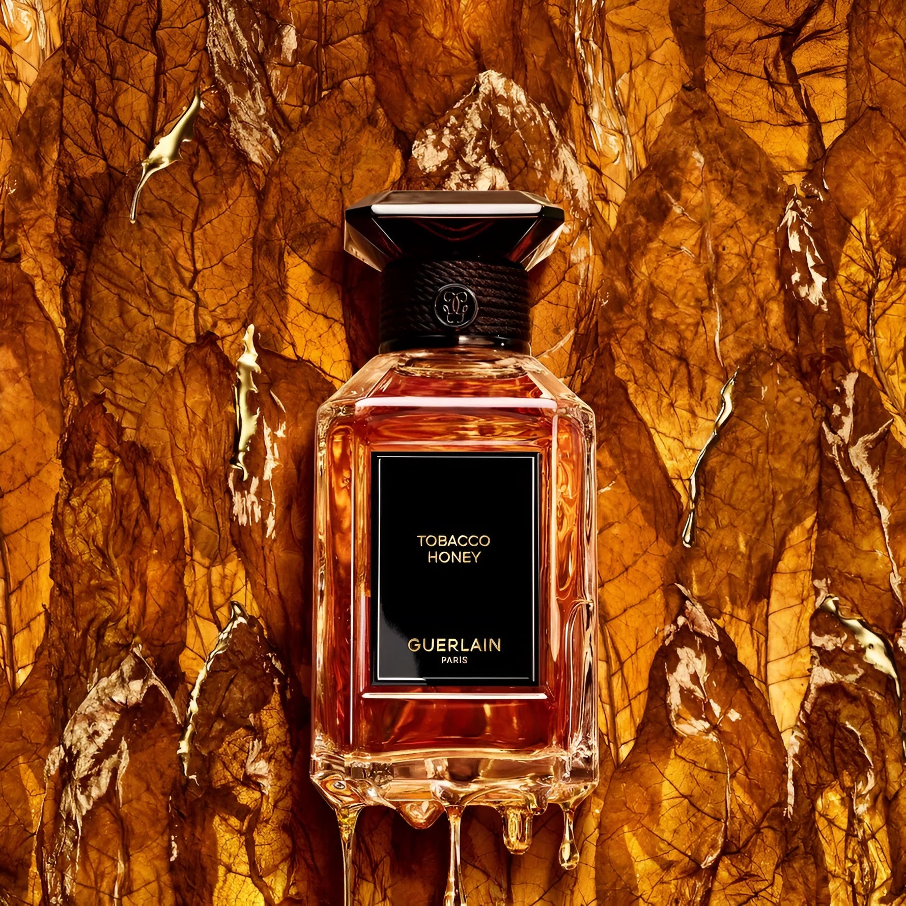 Tobacco Honey Eau de Parfum - Baccarats